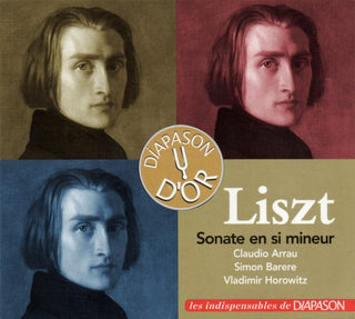 Franz Liszt, Claudio Arrau, Simon Barere, Vladimir Horowitz : Sonate En Si Mineur (CD, Comp, RE, RM)