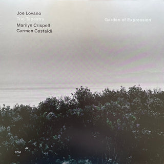 Joe Lovano, Trio Tapestry, Marilyn Crispell, Carmen Castaldi : Garden Of Expression (LP, Album)